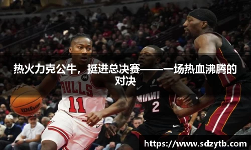 热火力克公牛，挺进总决赛——一场热血沸腾的对决