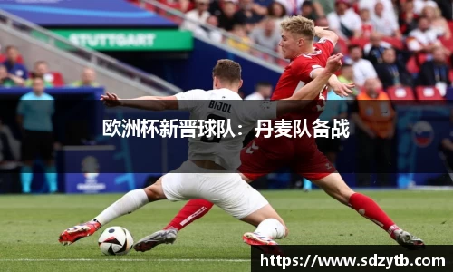 欧洲杯新晋球队：丹麦队备战